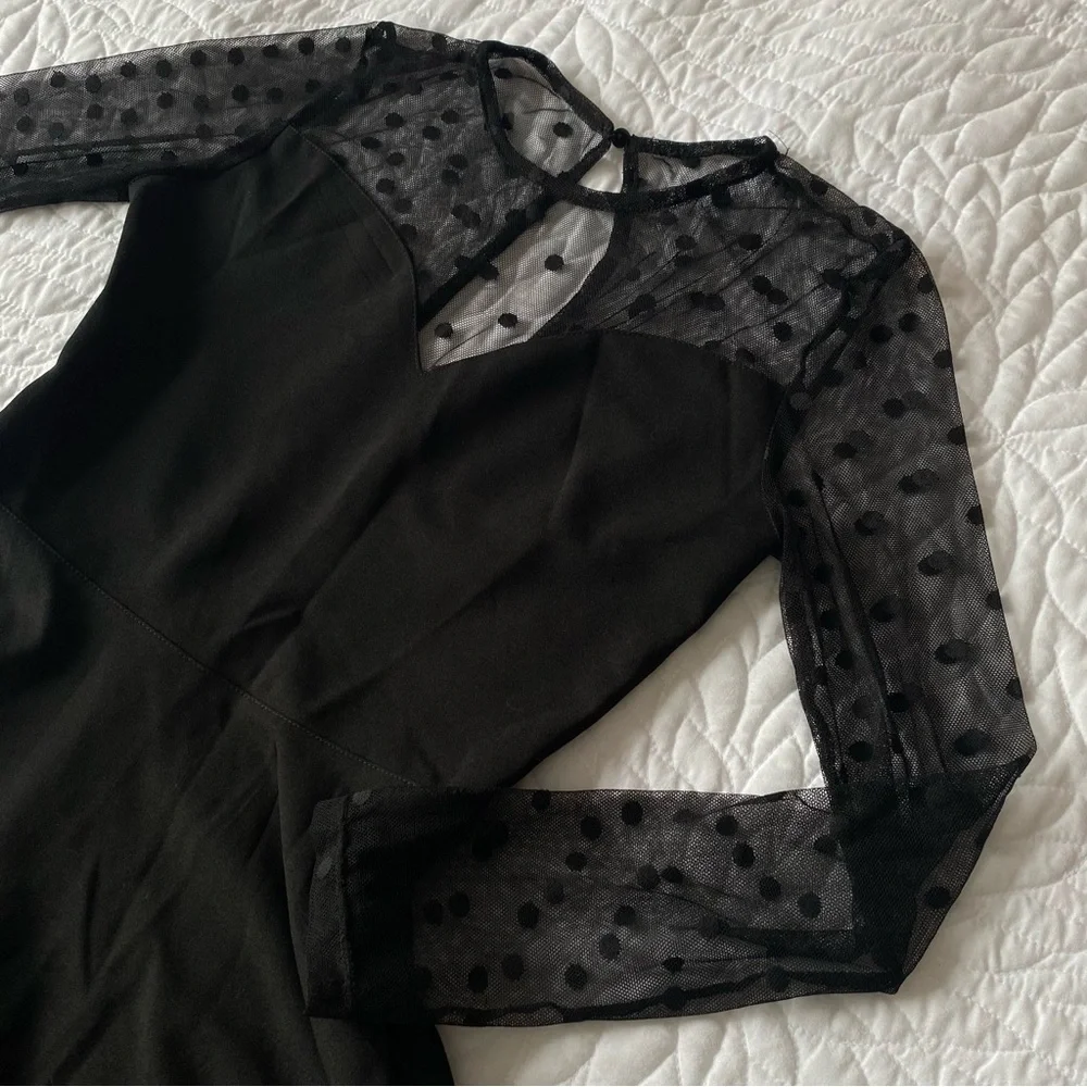 Black Dress w Sheer Polka Dot - Picture 6 of 7